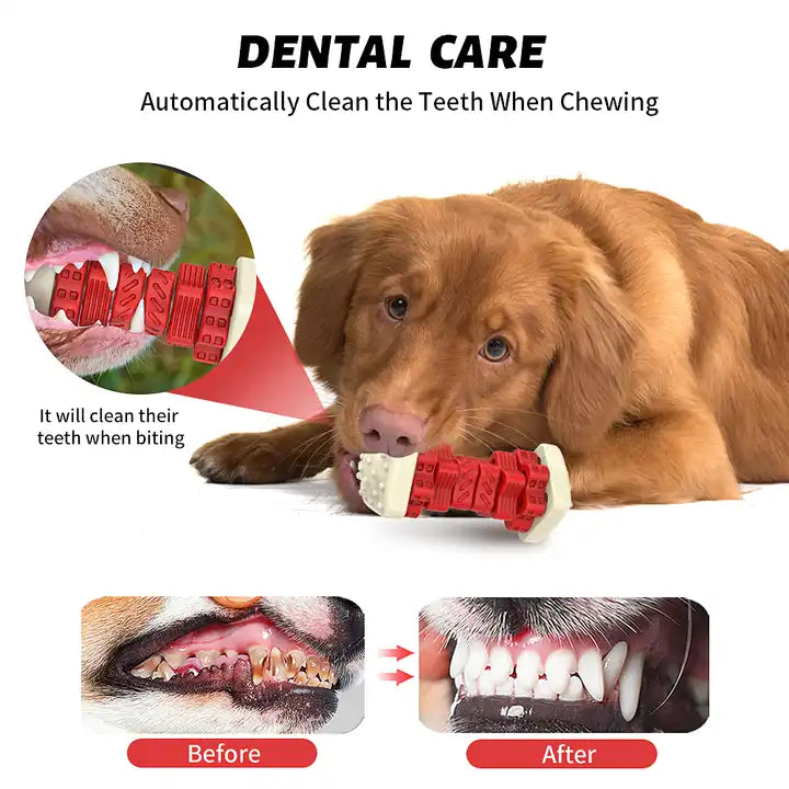 ChewSmart™ Interactive Treat Bone Toy