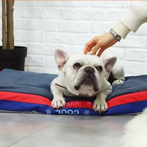 ChillPaws™ 2-in-1 Warming and Cooling Dog Bed