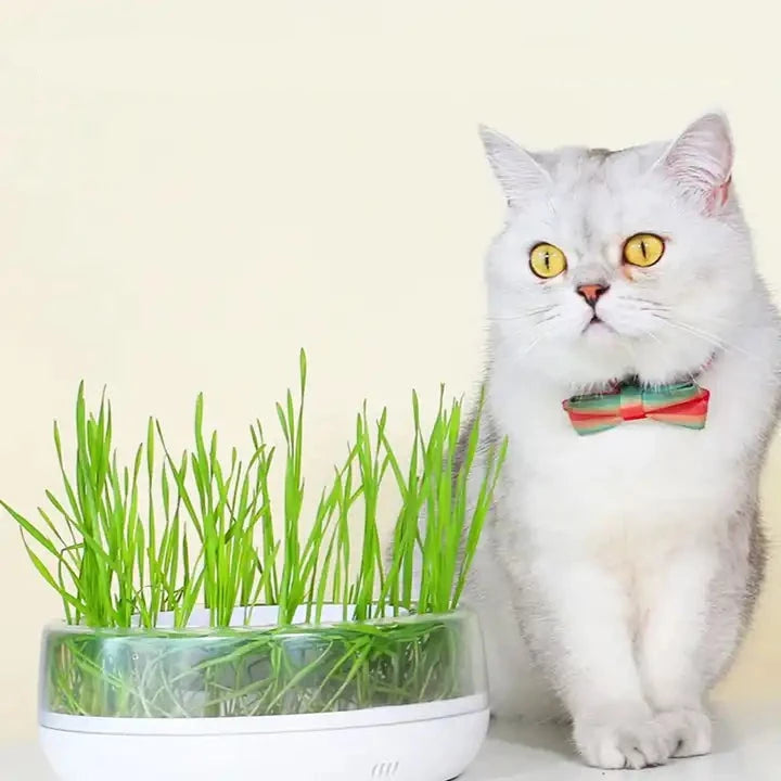 PurrGrow™ Interactive Cat Grass Bowl