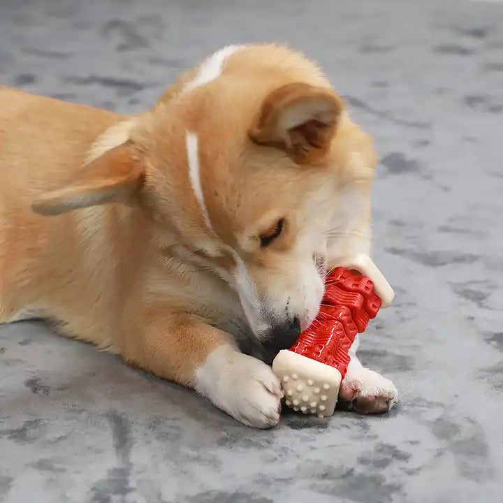 ChewSmart™ Interactive Treat Bone Toy