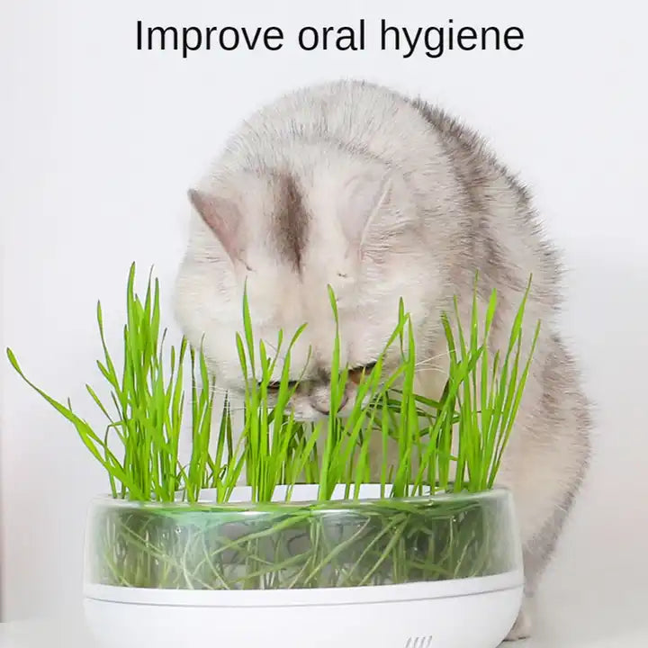 PurrGrow™ Interactive Cat Grass Bowl